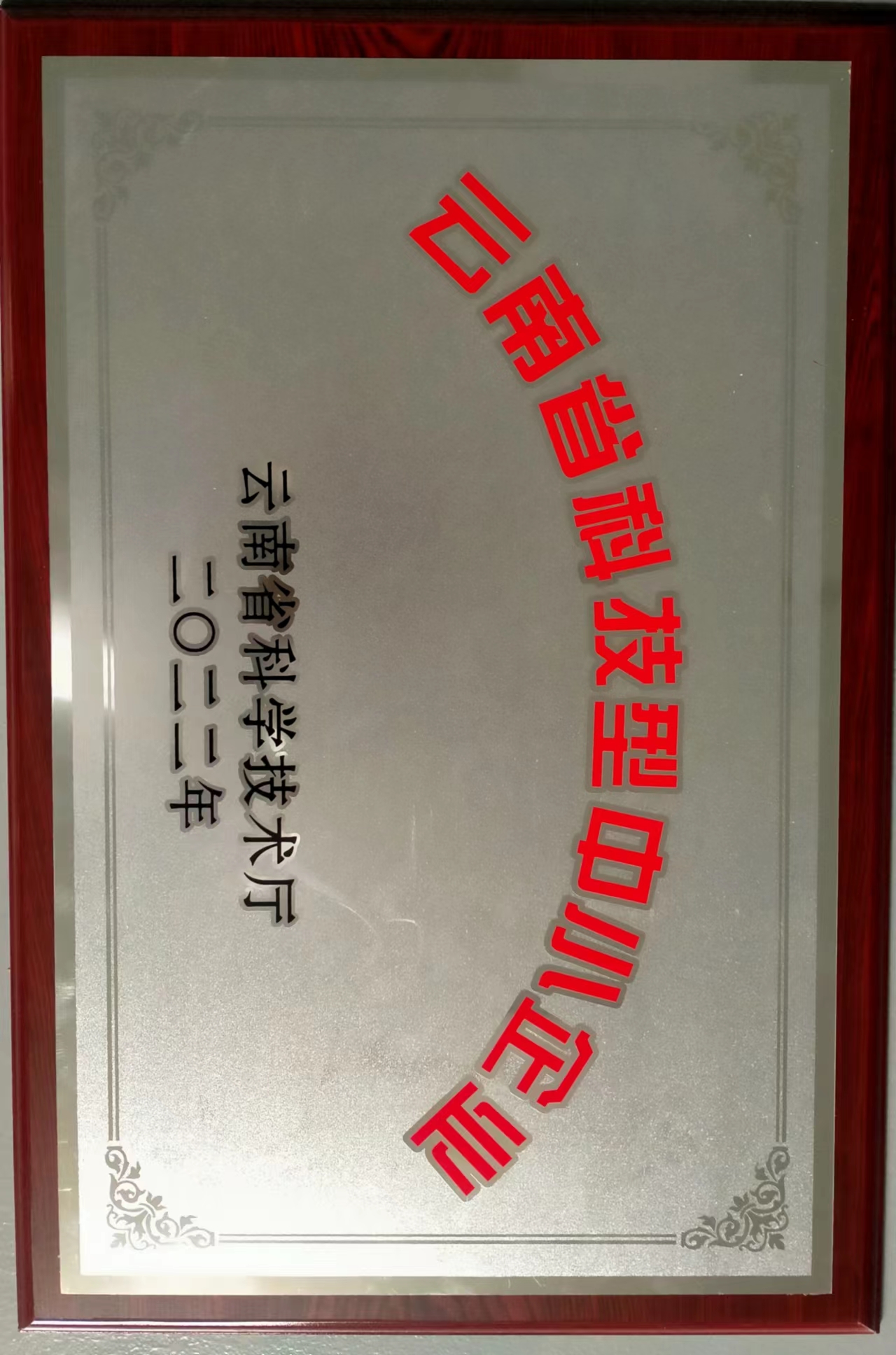 云南省科技型中小企業(yè)